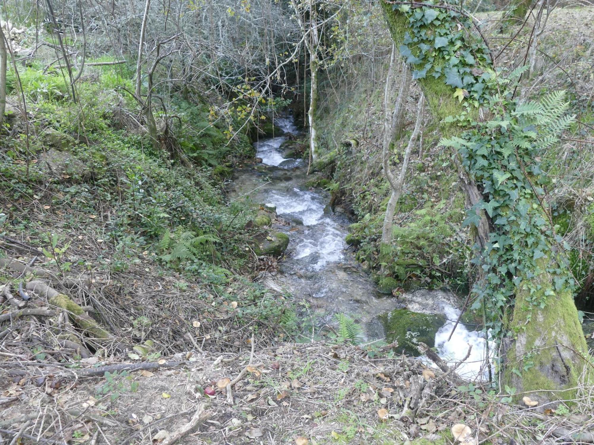 Casita A Estrenar En Finca Con Rio Proxima A Tui, Gondomar Y Portugal. Екстериор снимка