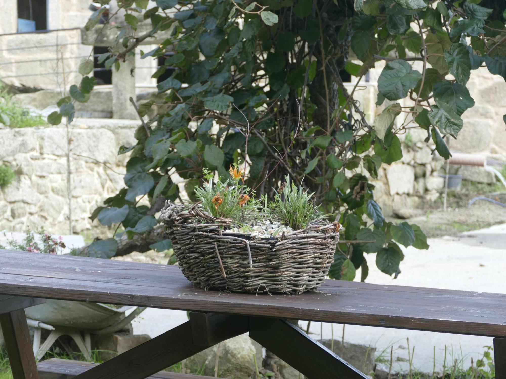 Casita A Estrenar En Finca Con Rio Proxima A Tui, Gondomar Y Portugal. Екстериор снимка